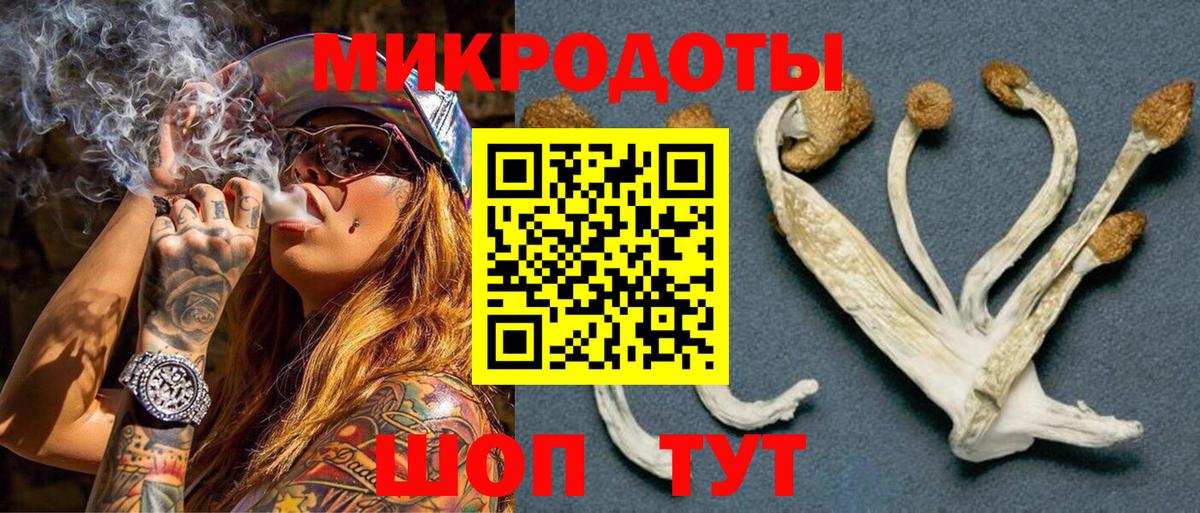 Псилоцибиновые грибы мухоморы Обнинск