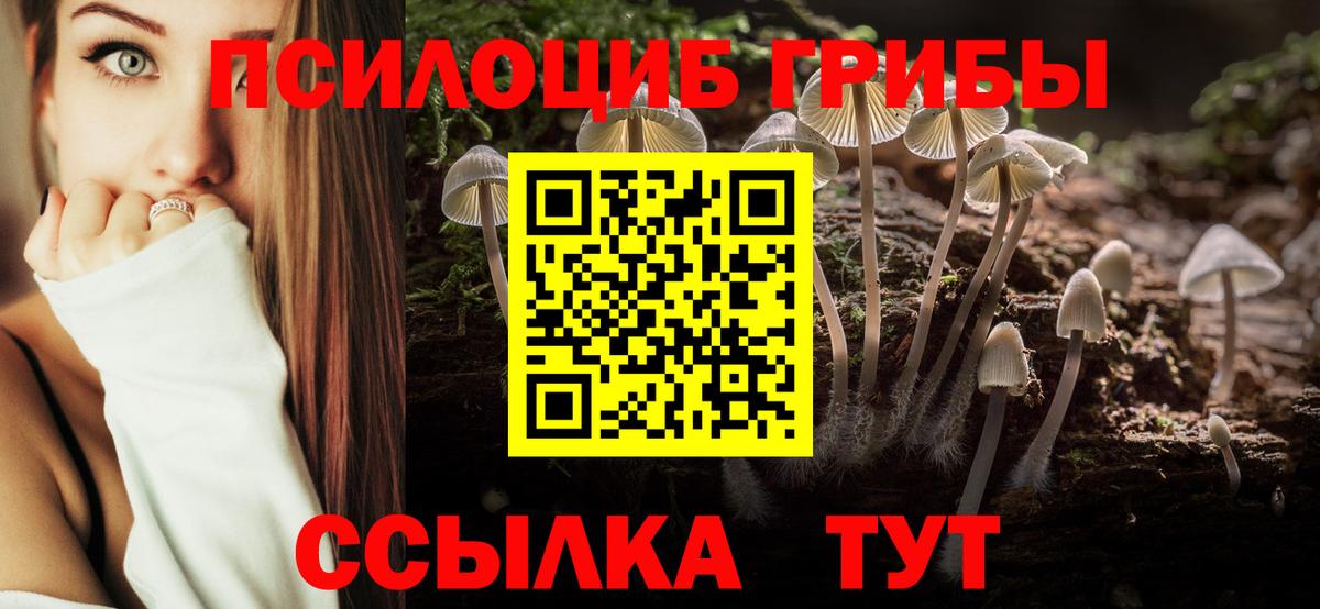 Галлюциногенные грибы ЛСД  Вход с VPN  Псилоцибиновые грибы Psilocybe  купить наркотики сайты  Обнинск 
